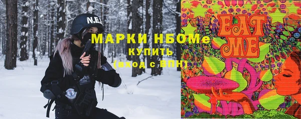 СК Бронницы